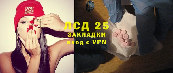 ПСИЛОЦИБИНОВЫЕ ГРИБЫ Михайлов