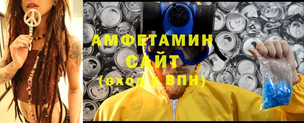 ПСИЛОЦИБИНОВЫЕ ГРИБЫ Михайлов