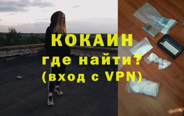 ПСИЛОЦИБИНОВЫЕ ГРИБЫ Михайлов