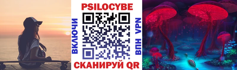Псилоцибиновые грибы Psilocybine cubensis  где найти   дарк нет как зайти  Исилькуль 